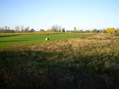 Property photo 10 - 202+/- Acres Offered in 7 Tracts
